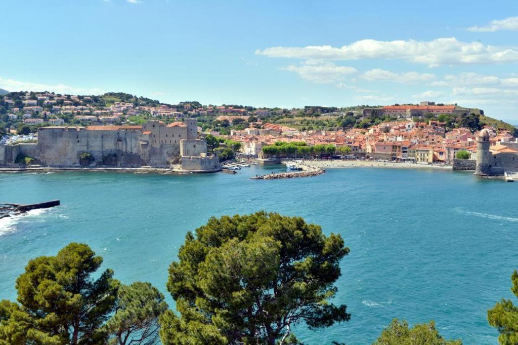 Vue Imprenable - Piscine - Parking Prive - Terrasse - Collioure Apartment Bagian luar foto